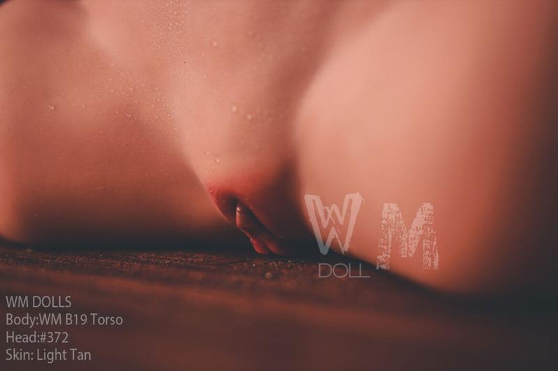 WM Doll B19 L Cup Torso - Remy